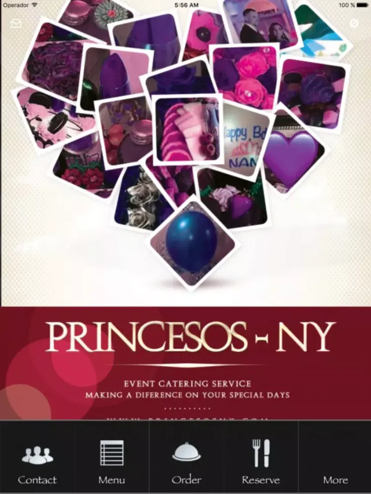 Capturas de tela do Princesos Ny iPad 