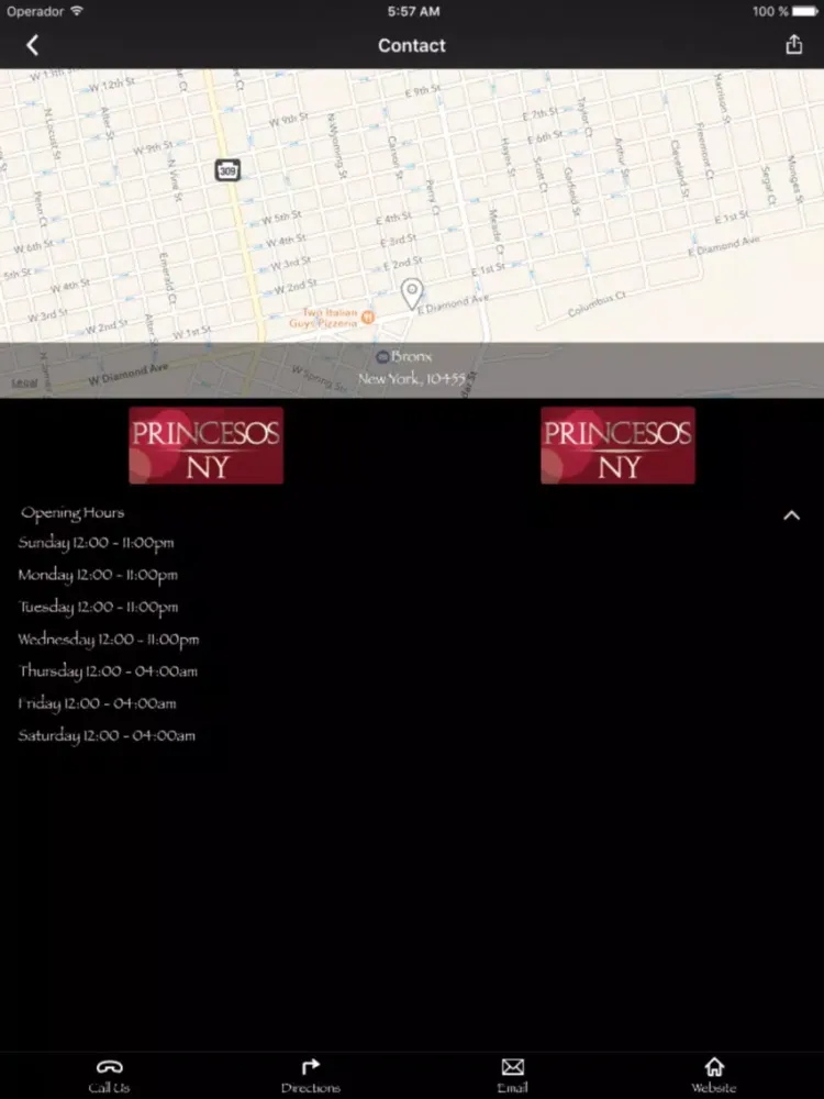 Capturas de tela do Princesos Ny iPad 
