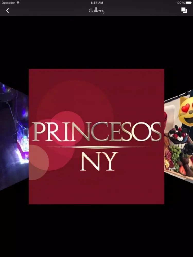 Capturas de tela do Princesos Ny iPad 