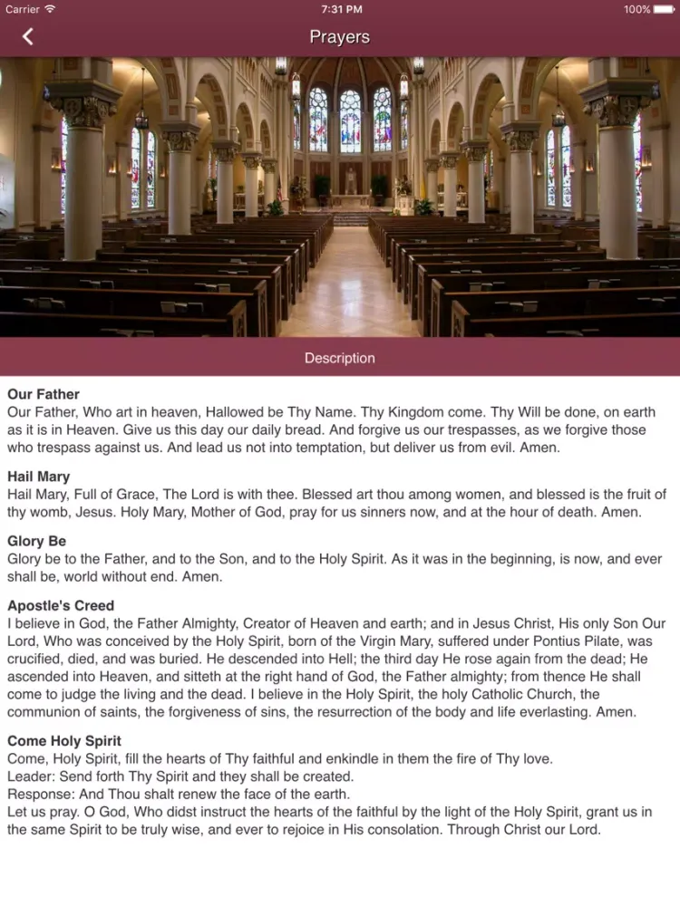 Cathedral of St. John the Evangelist - Lafayette, LA iPad  스크린샷