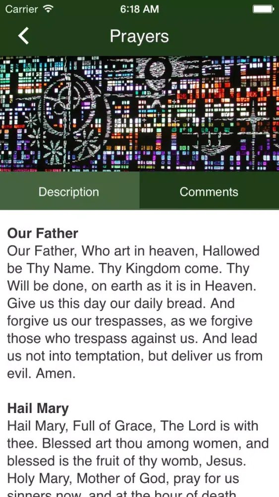 صور St. Thomas More Catholic Church - Bethel Park, PA