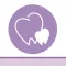DentSolution