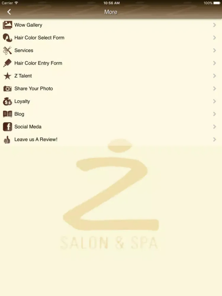 Z Salon & Spa iPad 應用截圖