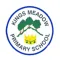 Kings Meadow Primary School