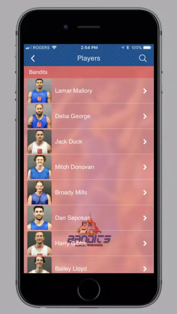 Capturas de pantalla de Albury Wodonga Bandits