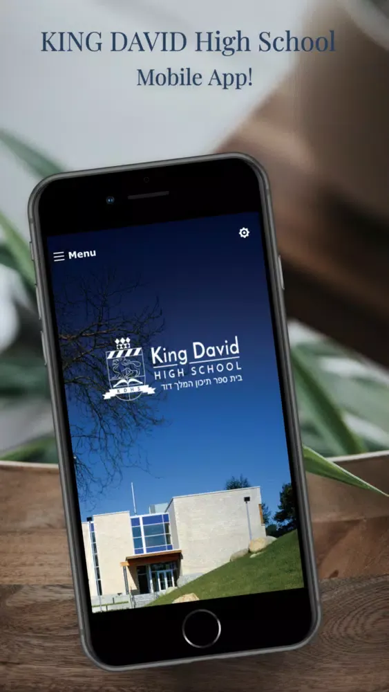 صور King David High School