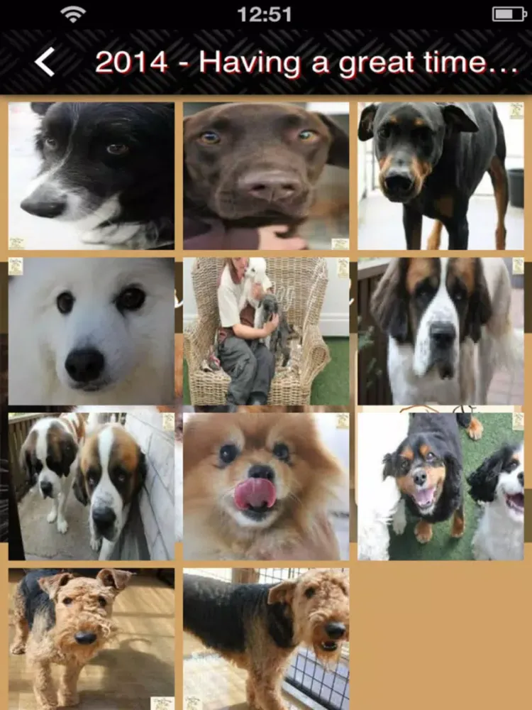 Capturas de tela do Dogs Country Club iPad 