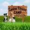Canine Fitness Camp