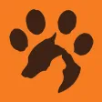 Paw Lofts