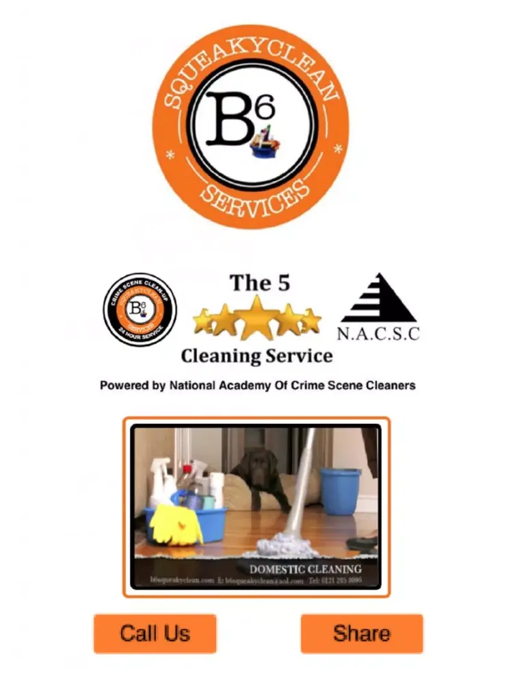 B6 Squeaky Clean iPad  سکرین شاٹس