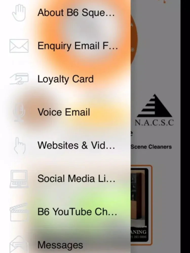 B6 Squeaky Clean iPad  سکرین شاٹس