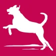 Bunker Hill Kennel Bunker Hill Kennel
