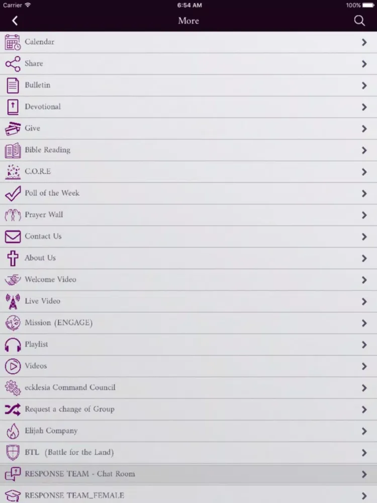 ภาพหน้าจอของ Kingdom Synergy Alliance iPad 