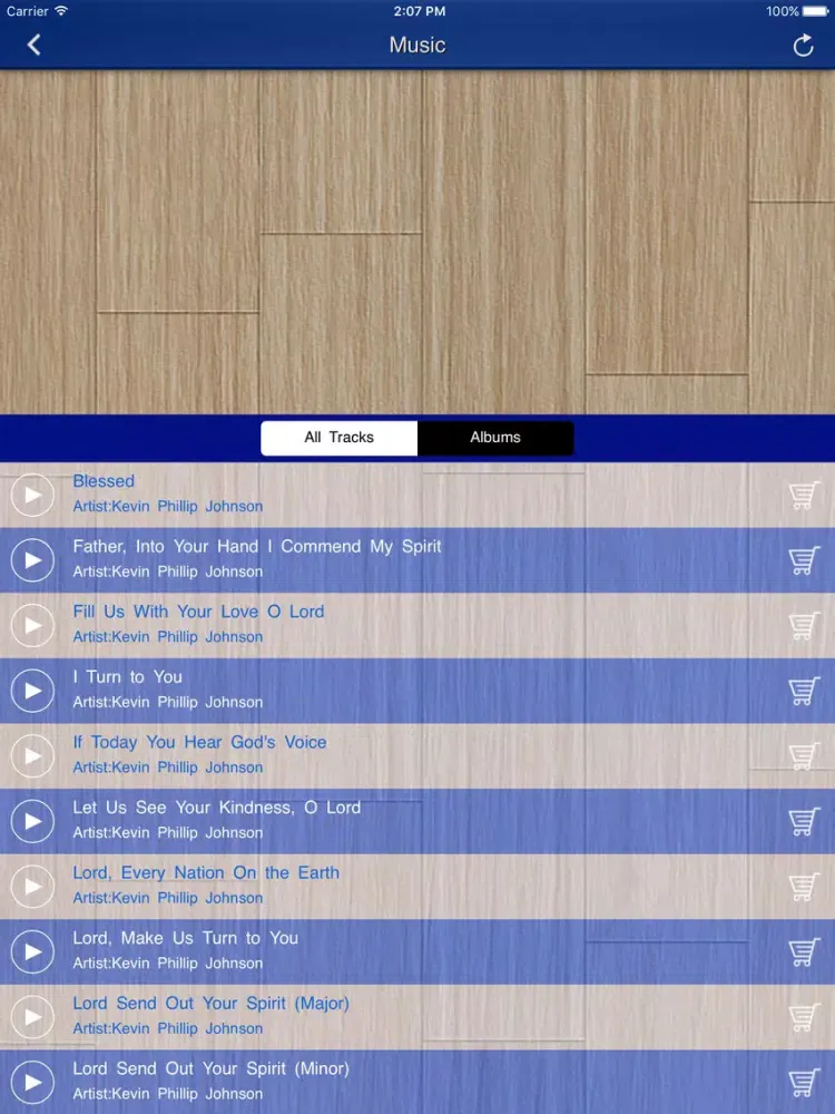 Capturas de pantalla de Our Lady of Lourdes Atlanta iPad 