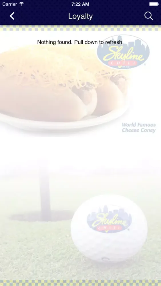 SkylineChili Florida スクリーンショット