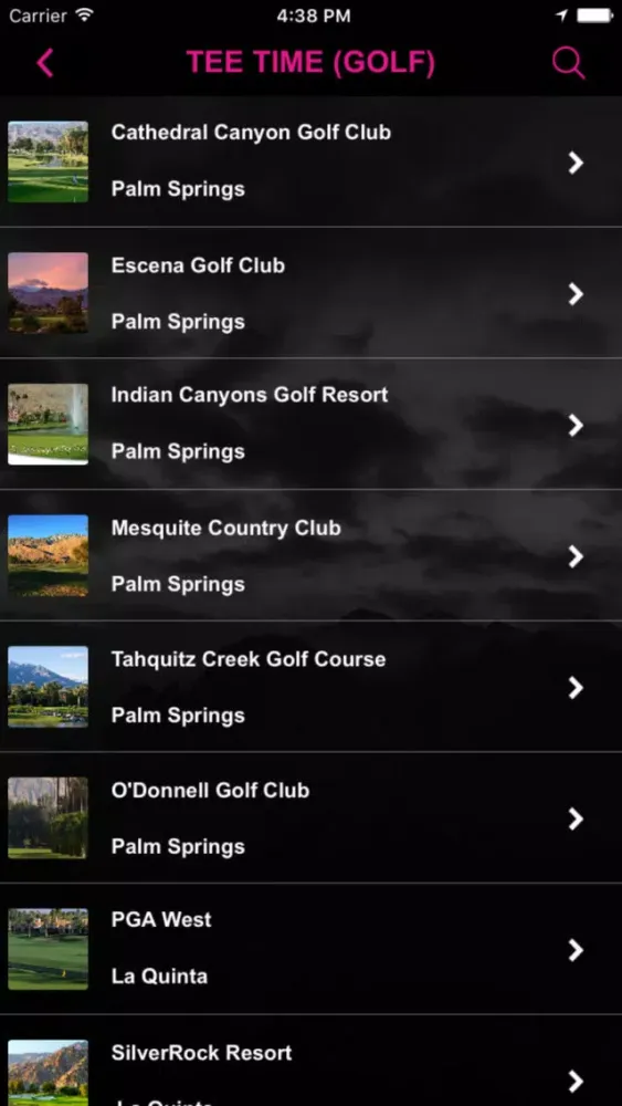 Screenshot di Palm Canyon Drive
