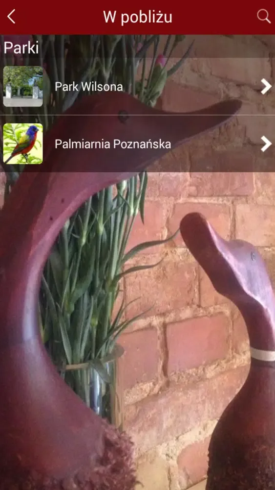 Zrzuty ekranu Złota Kaczka