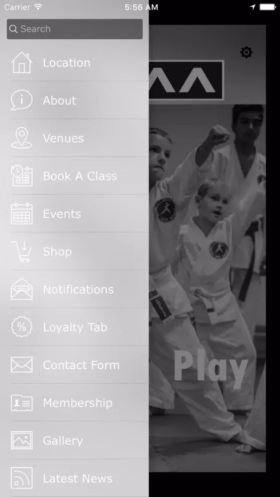 Capturas de pantalla de United Martial Arts Academy