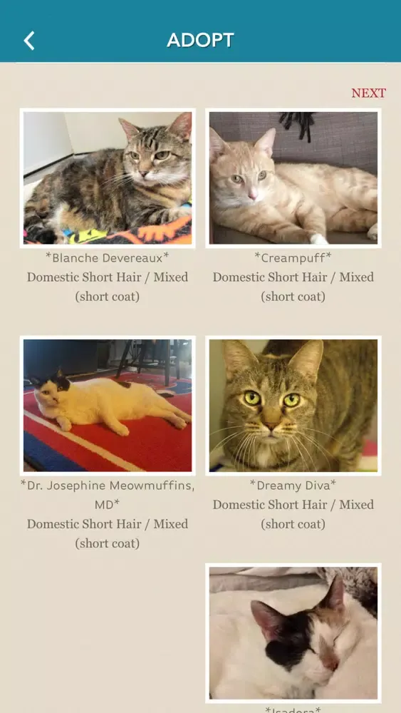 Captures d'écran de PAWS Philadelphia Animal Welfare Society