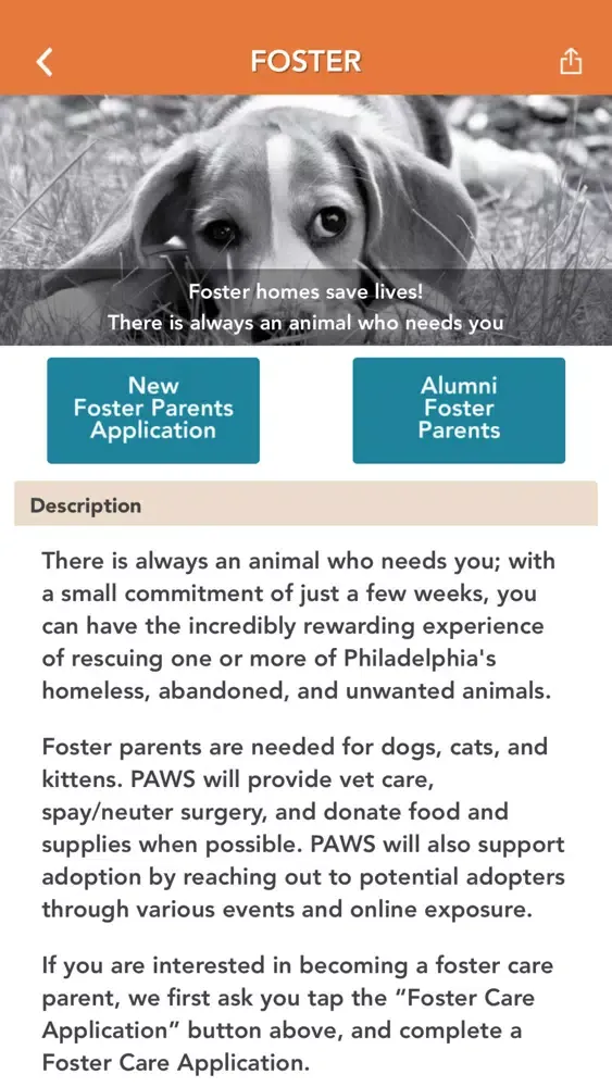 Captures d'écran de PAWS Philadelphia Animal Welfare Society