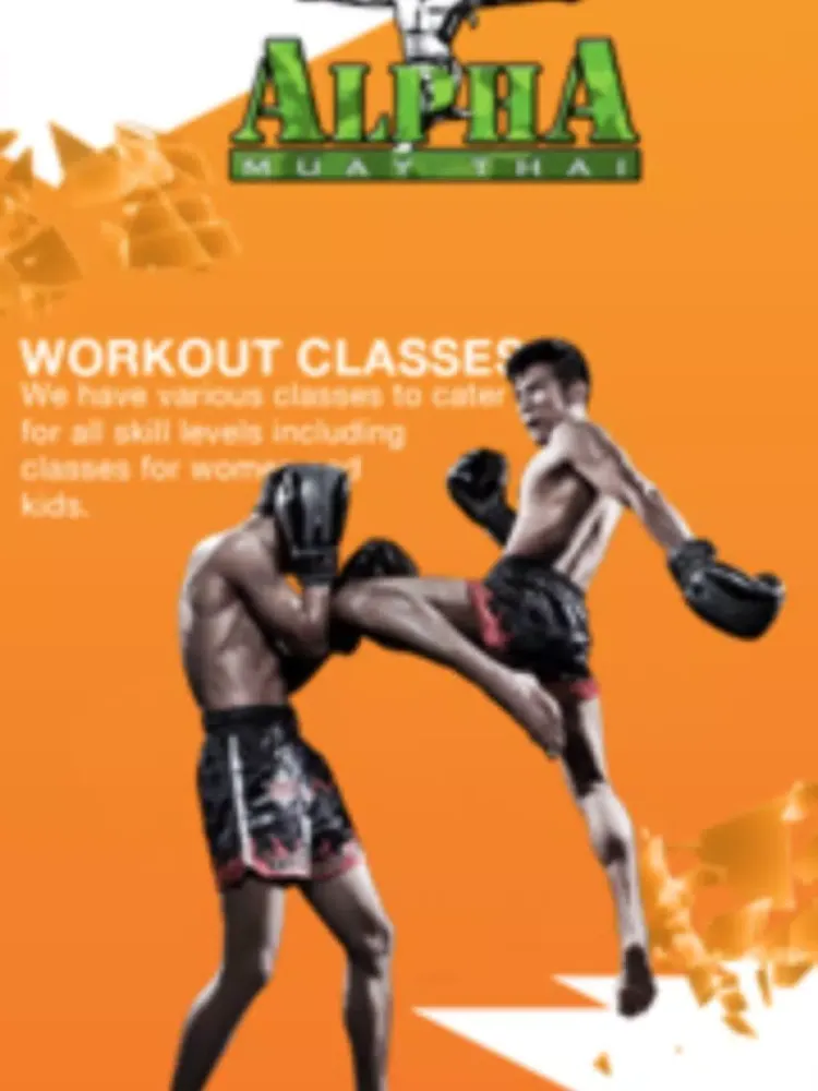 Capturas de tela do Alpha Muay Thai Kickboxing iPad 