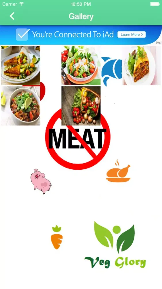 Screenshot di Veg Glory - Connect with vegetarians and vegans friends around the world