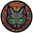 Kava Kat Kava Kat