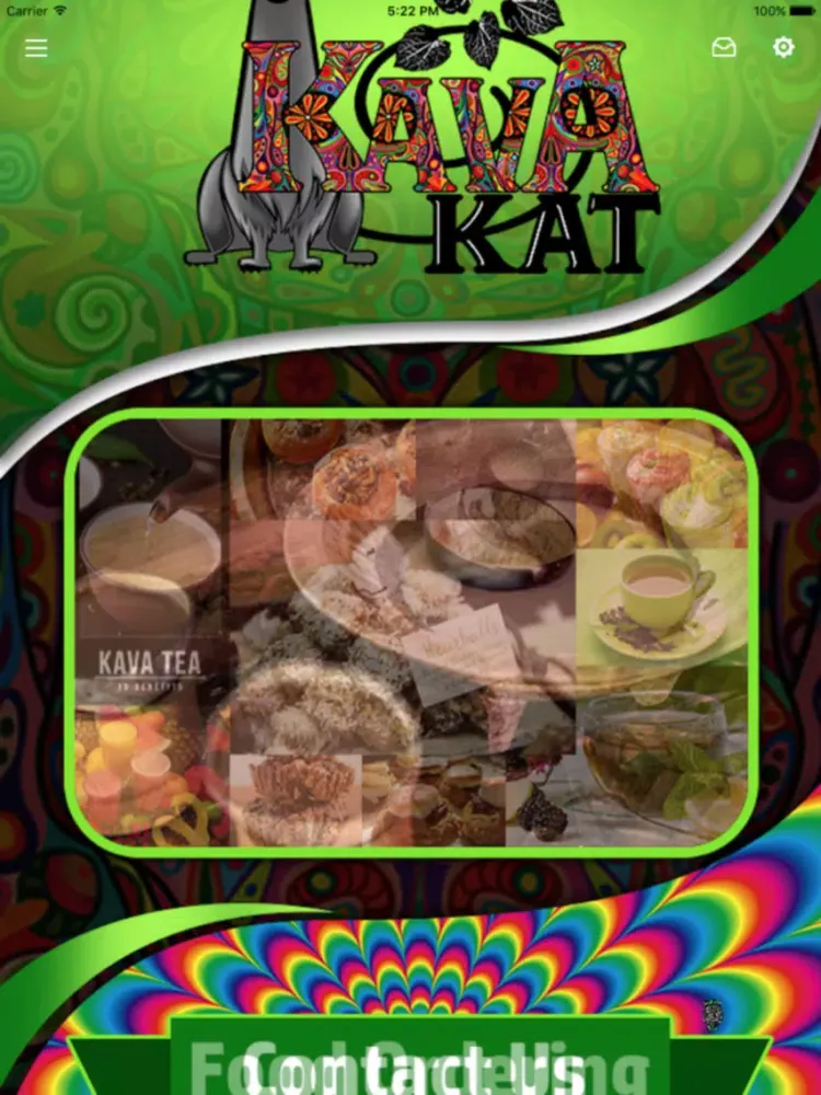 Screenshot di Kava Kat iPad 