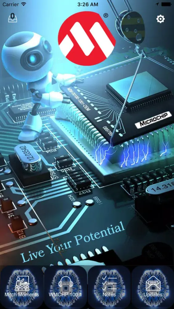 Zrzuty ekranu Microchipsales