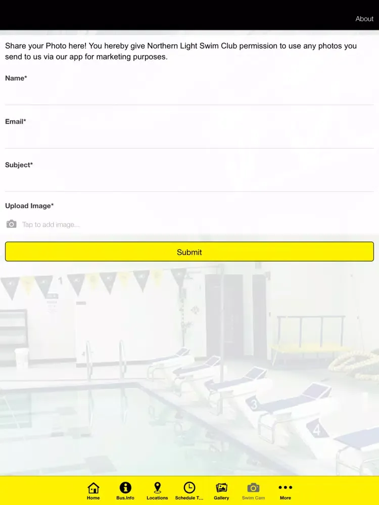 Скриншоты Northern Lights Swim Club iPad 
