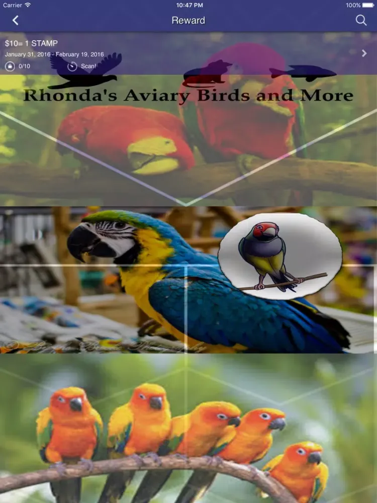 RHONDA'S AVIARY iPad  स्क्रीनशॉट