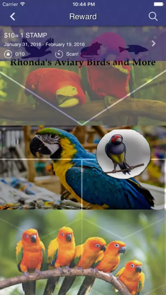 RHONDA'S AVIARY स्क्रीनशॉट