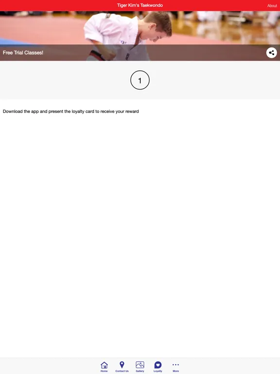 Tiger Kim's Tae Kwon Do iPad  스크린샷