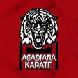 Acadiana Karate