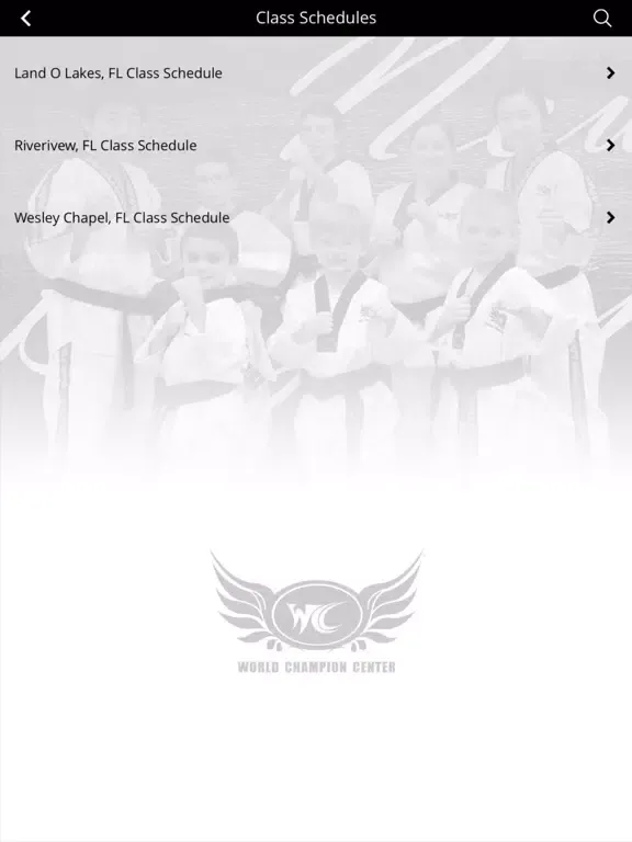 Скриншоты WORLD CHAMPION CENTER iPad 