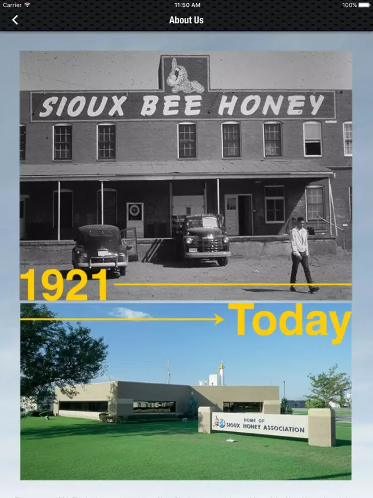 Capturas de tela do Sue Bee Honey iPad 