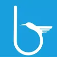 NIMBLE is