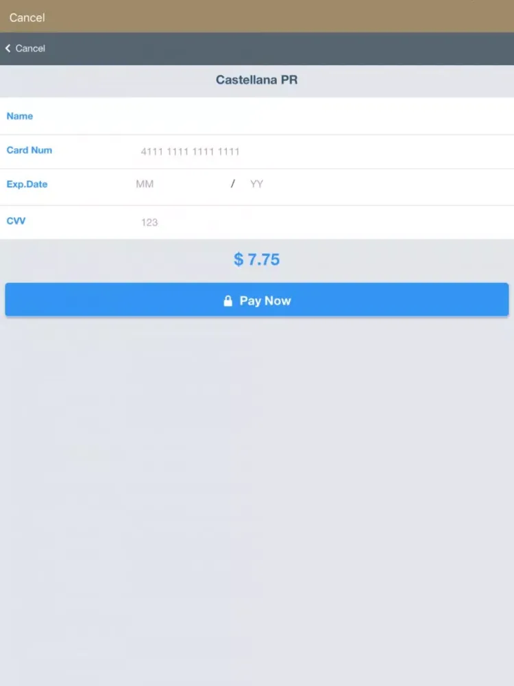Скриншоты Castellana PR iPad 