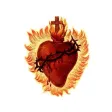 Sacred Heart Texarkana