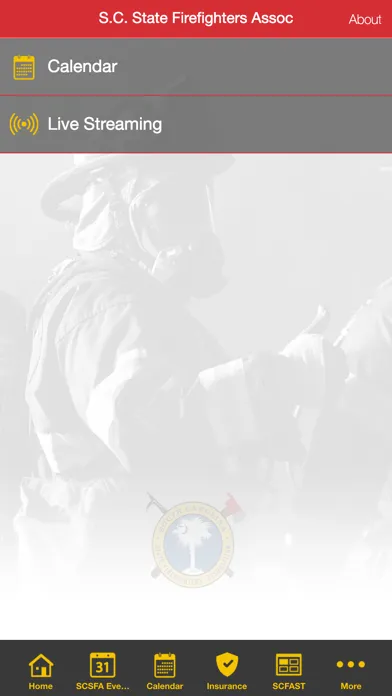Ảnh chụp màn hình của S.C. State Firefighters Assoc