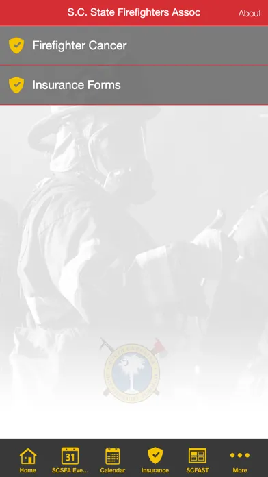 Ảnh chụp màn hình của S.C. State Firefighters Assoc