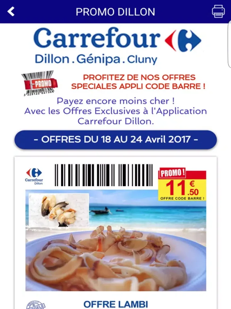 ภาพหน้าจอของ Carrefour Dillon-Génipa-Cluny iPad 