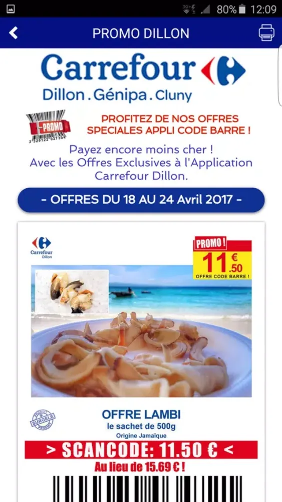 ภาพหน้าจอของ Carrefour Dillon-Génipa-Cluny