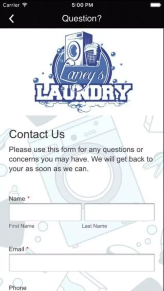 Laney's Laundry Ekran Görüntüleri