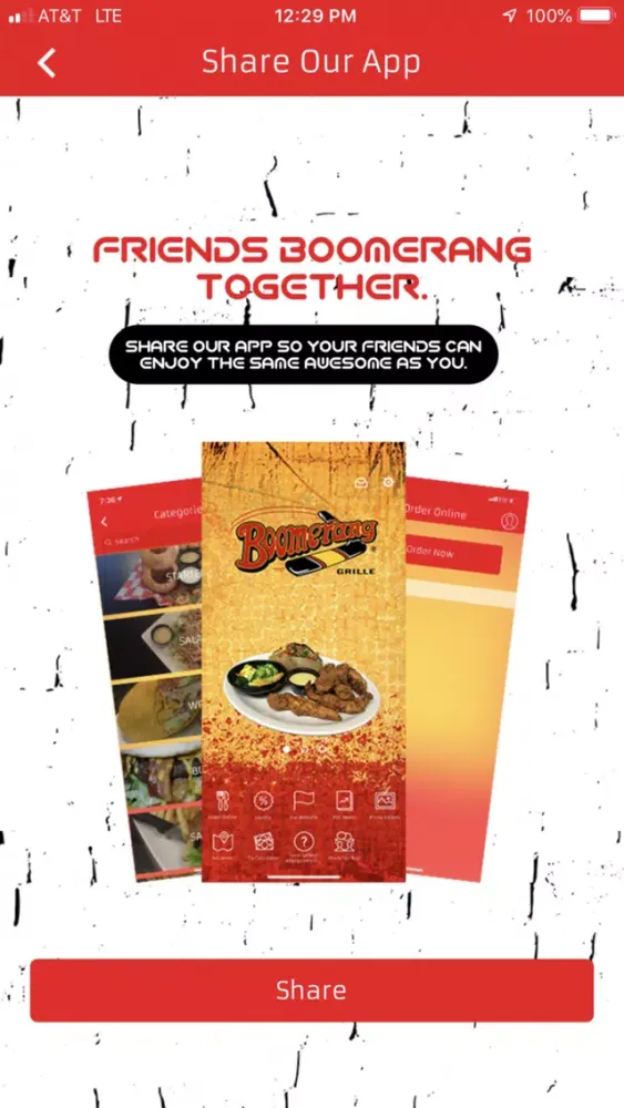 Boomerang Grille Screenshots