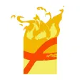 Fuego Detroit