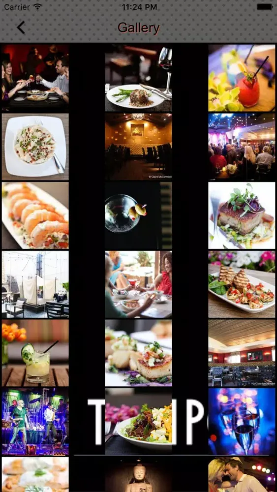 Скриншоты Tempo Scratch Kitchen & Cocktails
