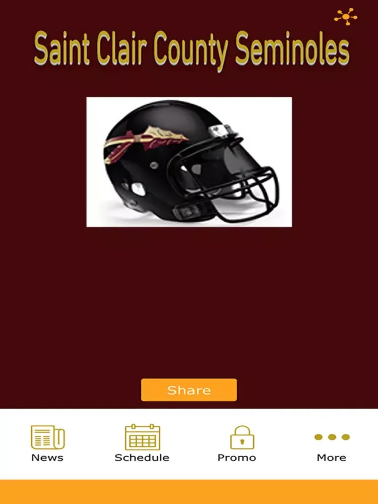 صور SCS Seminoles iPad 