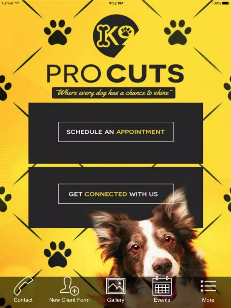 K-9 Pro Cuts iPad 应用截图