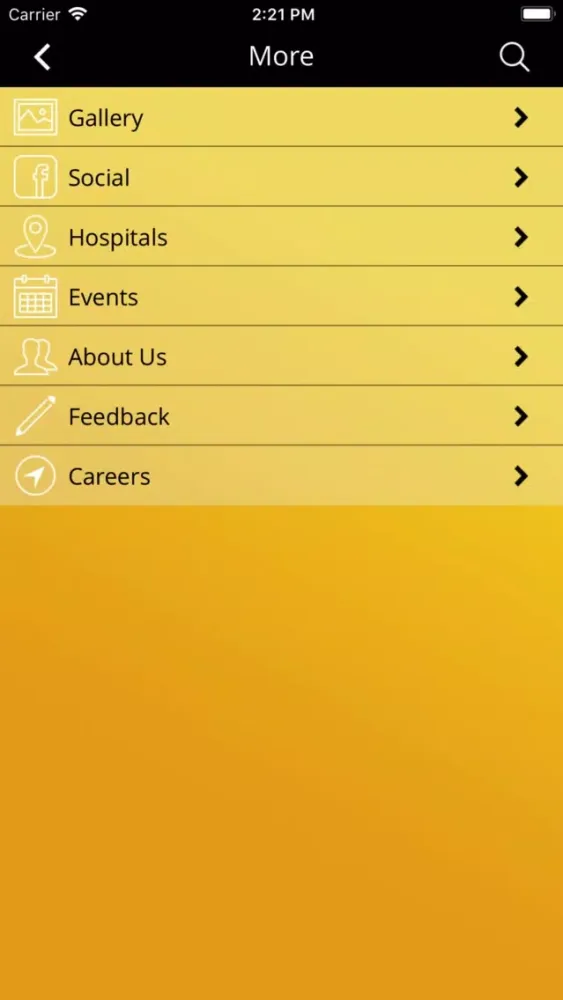 Screenshot di Mississippi Pafford EMS
